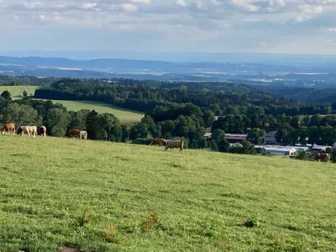 Pastevní sezóna — fotografie 1